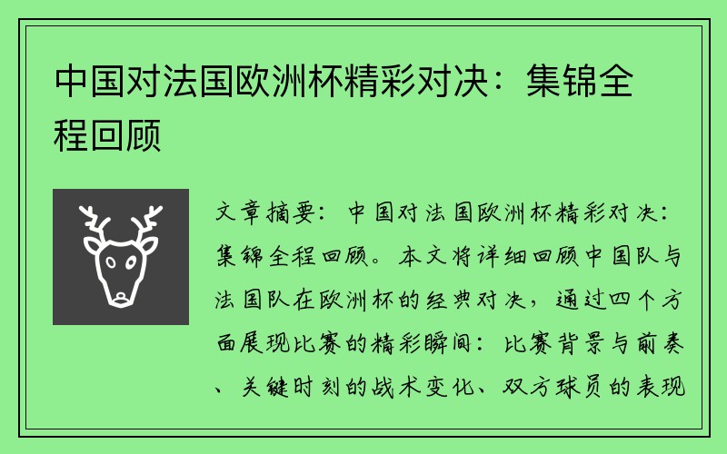 中国对法国欧洲杯精彩对决：集锦全程回顾