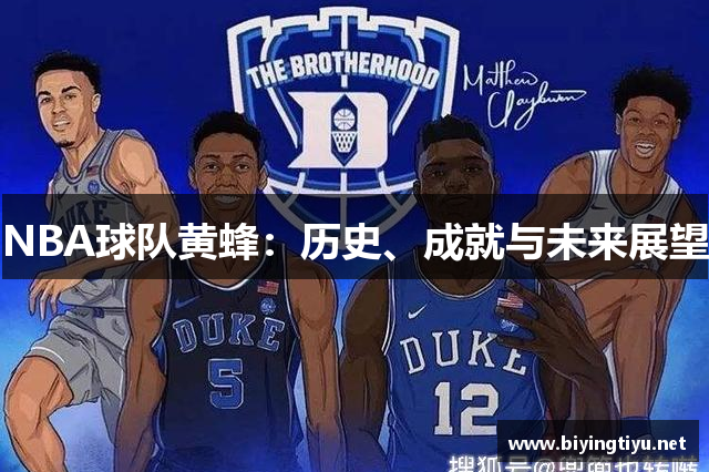 NBA球队黄蜂：历史、成就与未来展望